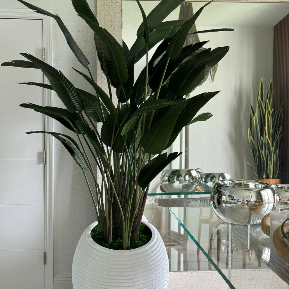 Bird of paradise in a white spiral vase