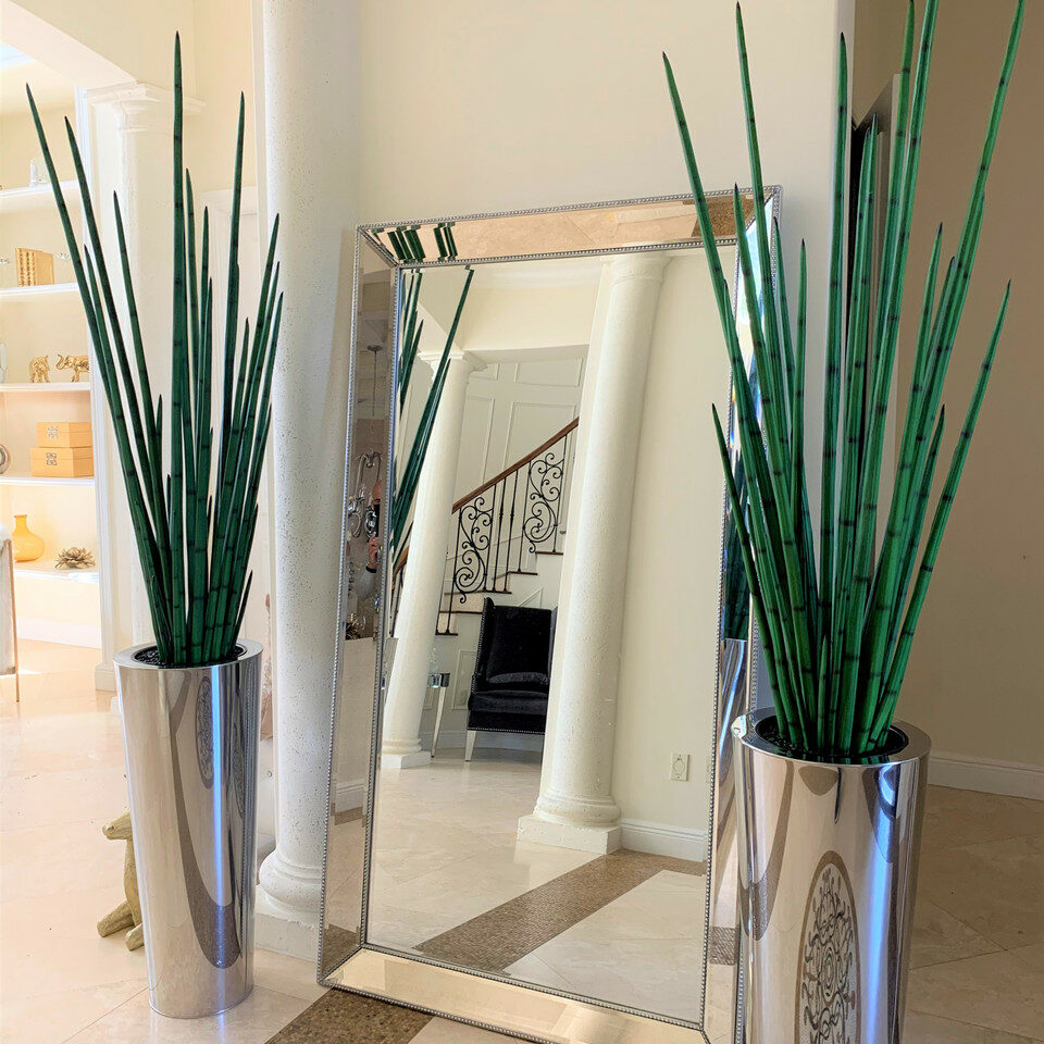 Large conical vase made of polished stainless steel with a large snake grass plant