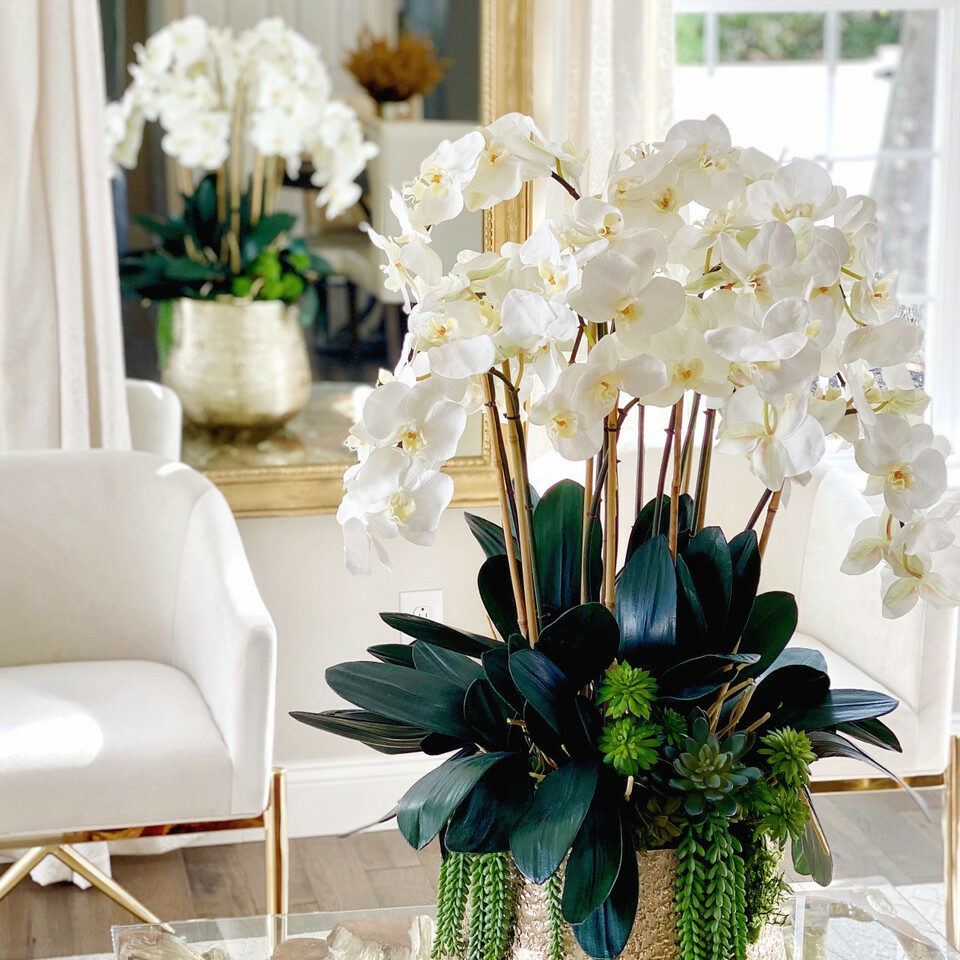 Delaney gold vase with multiple stems of Phalaenopsis orchids and succulents