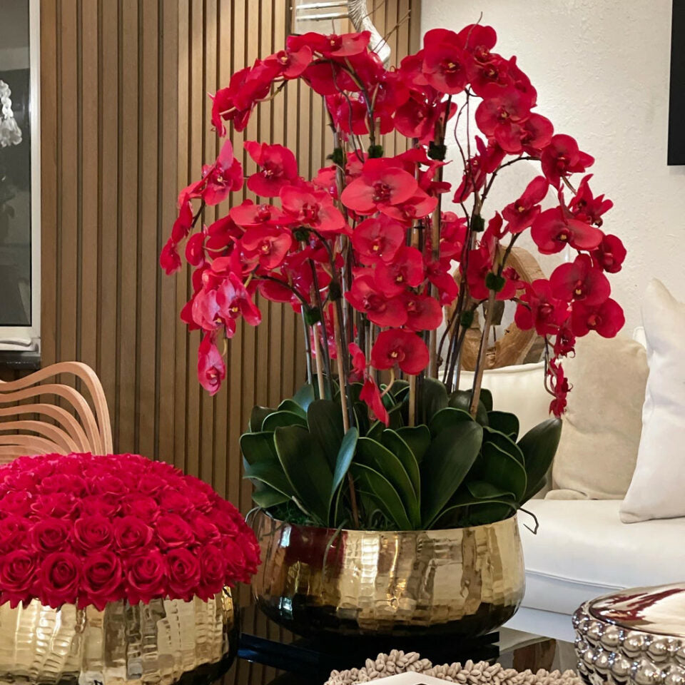 Red Phalaenopsis orchids in a medium-sized golden pot