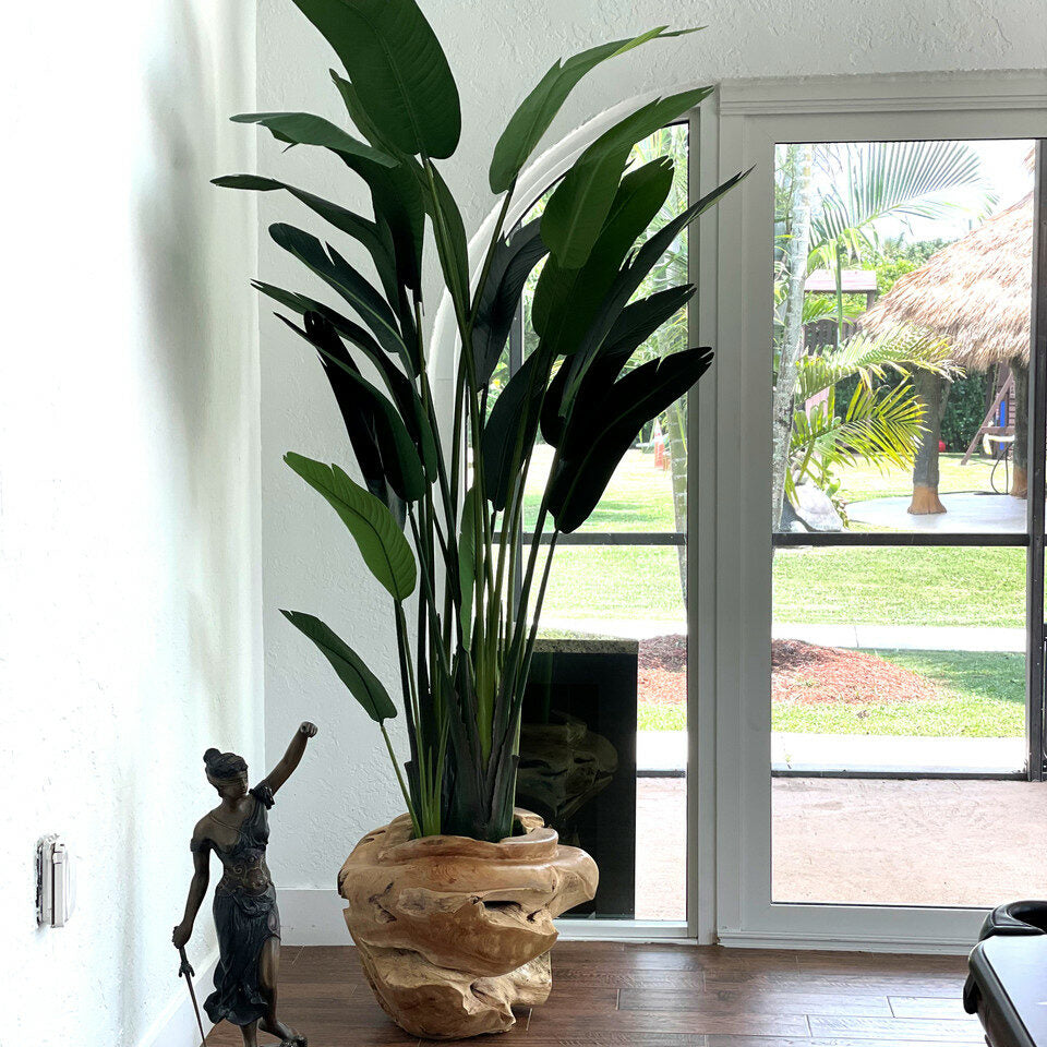 Large teak ship with large bird of paradise