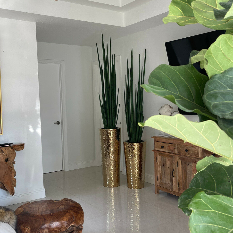 Conical vase made of golden stainless steel with large snake grass plant