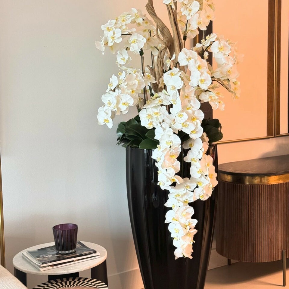 Glossy black San José vase with white orchid cascade
