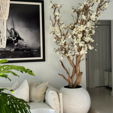 White Magnolia in 30″ glossy white ball pot