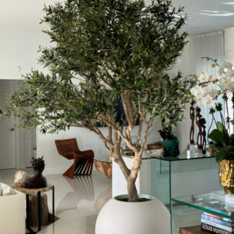 Olive tree in a matte beige pot