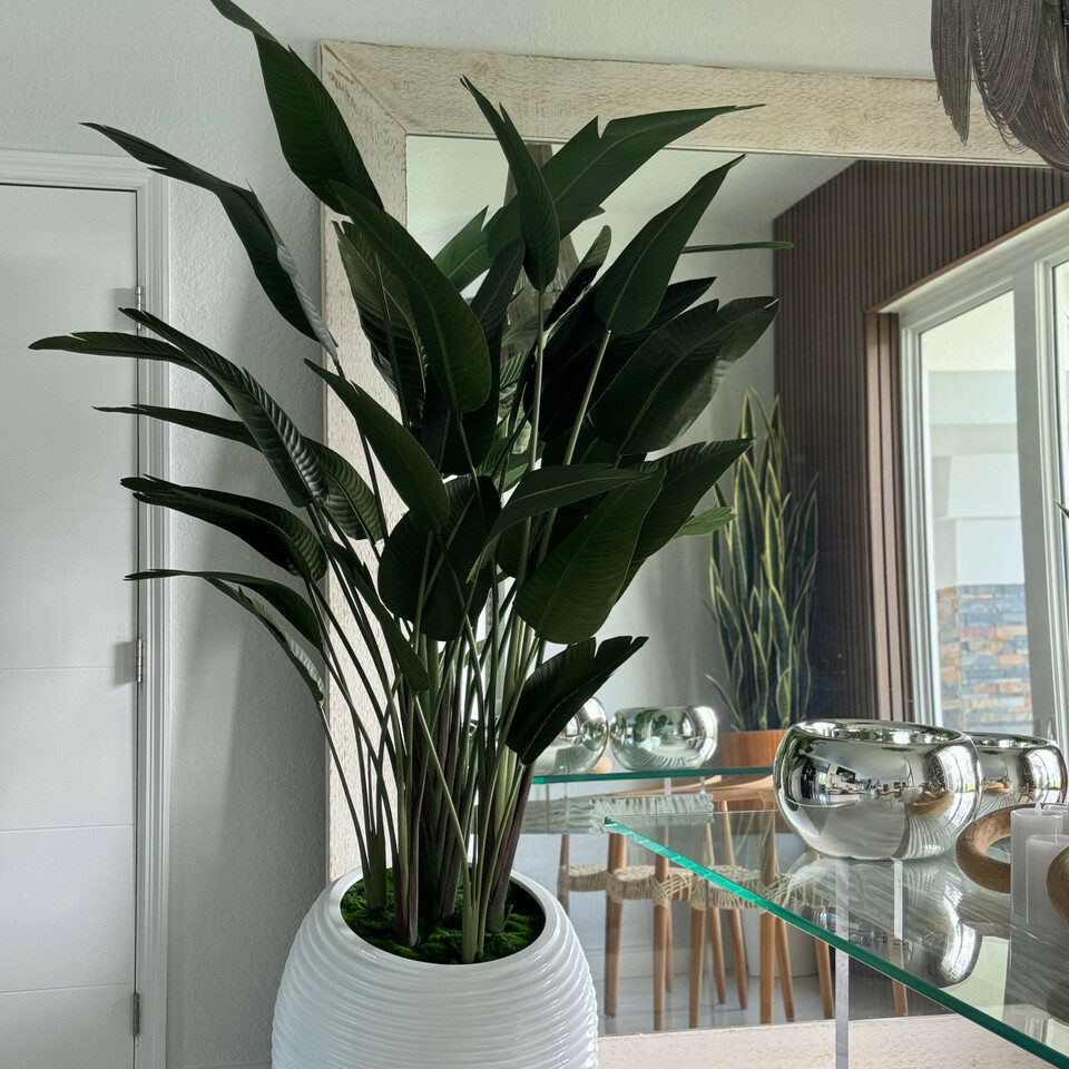 Bird of paradise in a white spiral vase