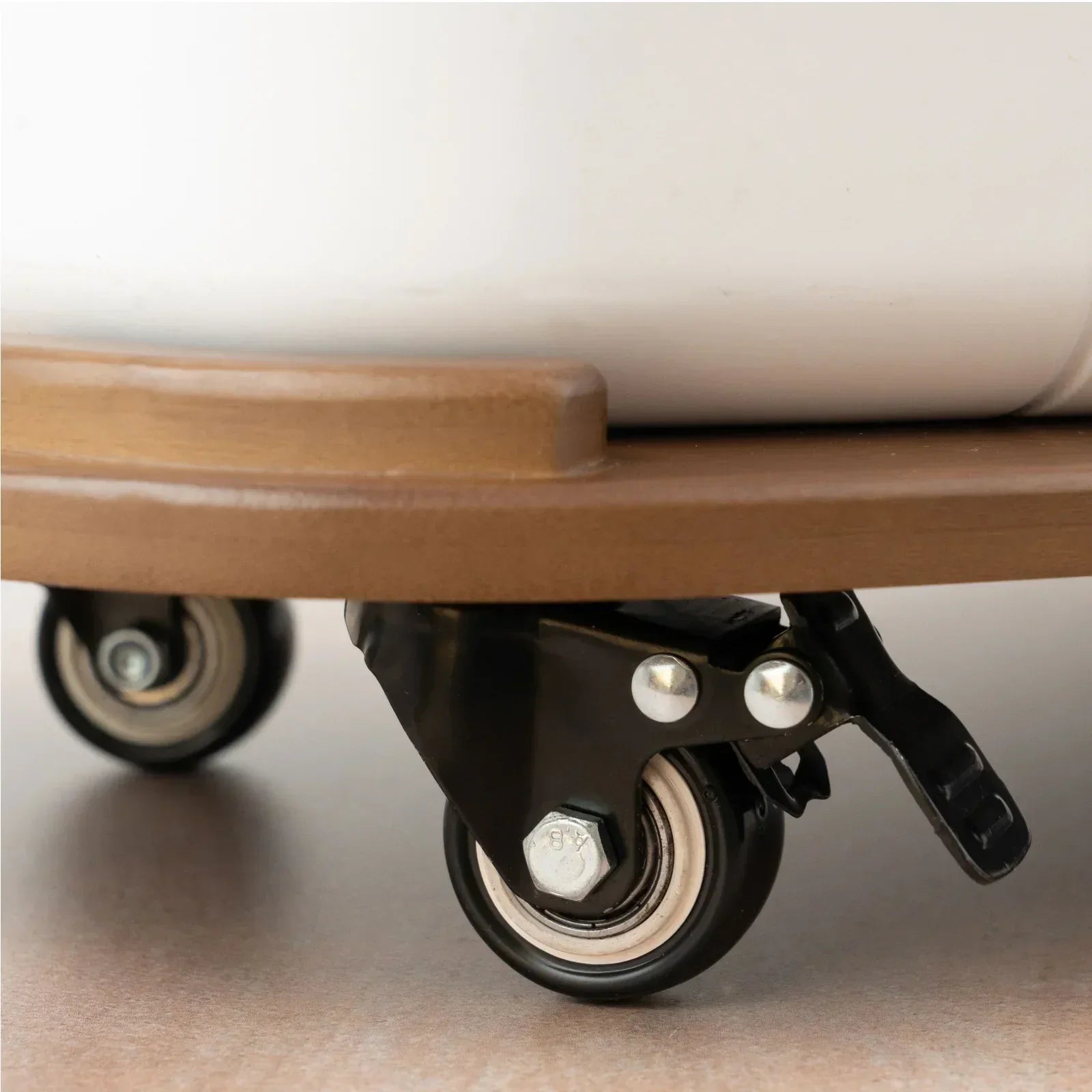 Floravie Dolly