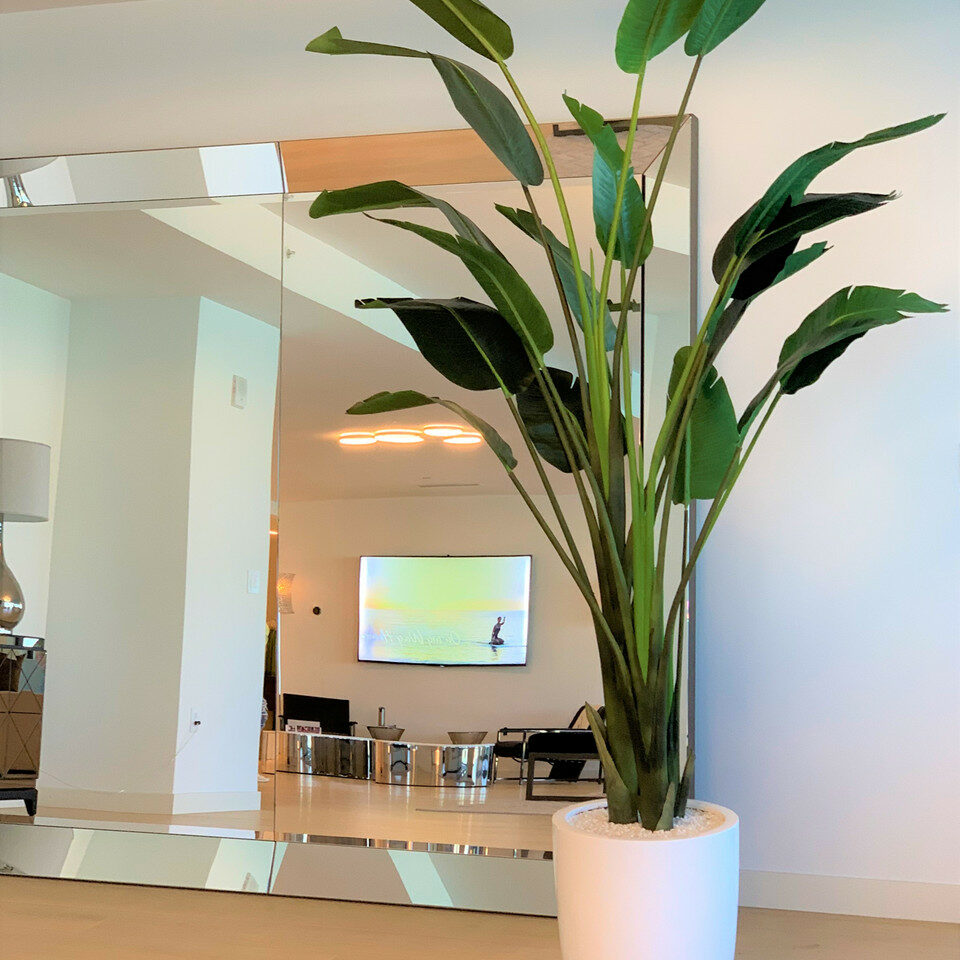 2.7 m Bird of Paradise with Ben pot in glossy white