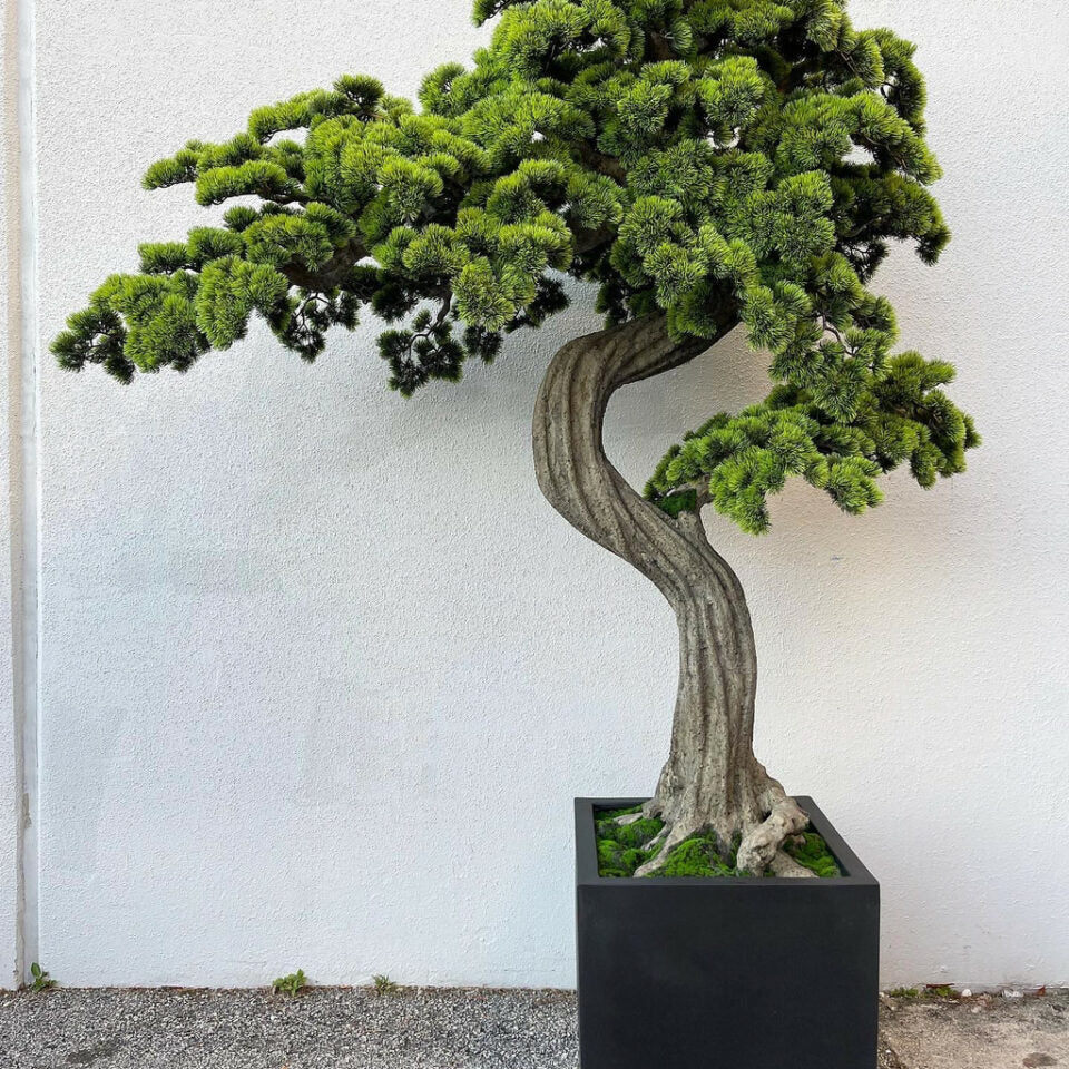 Large Bonsai Block M