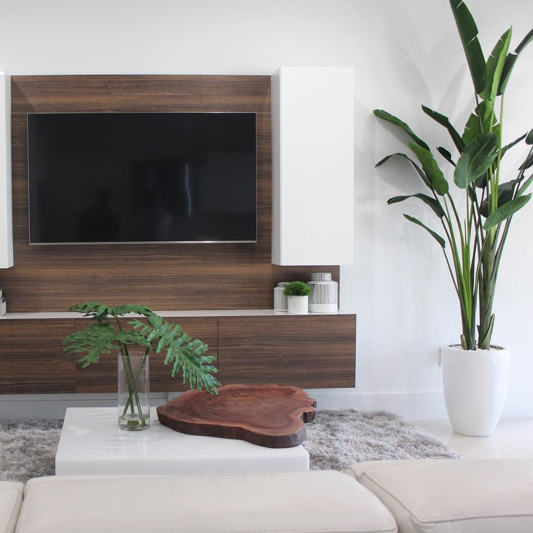 2.7 m tall Bird of Paradise with Ben planter in brilliant white