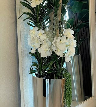 White Vandas in a conical stainless steel planter