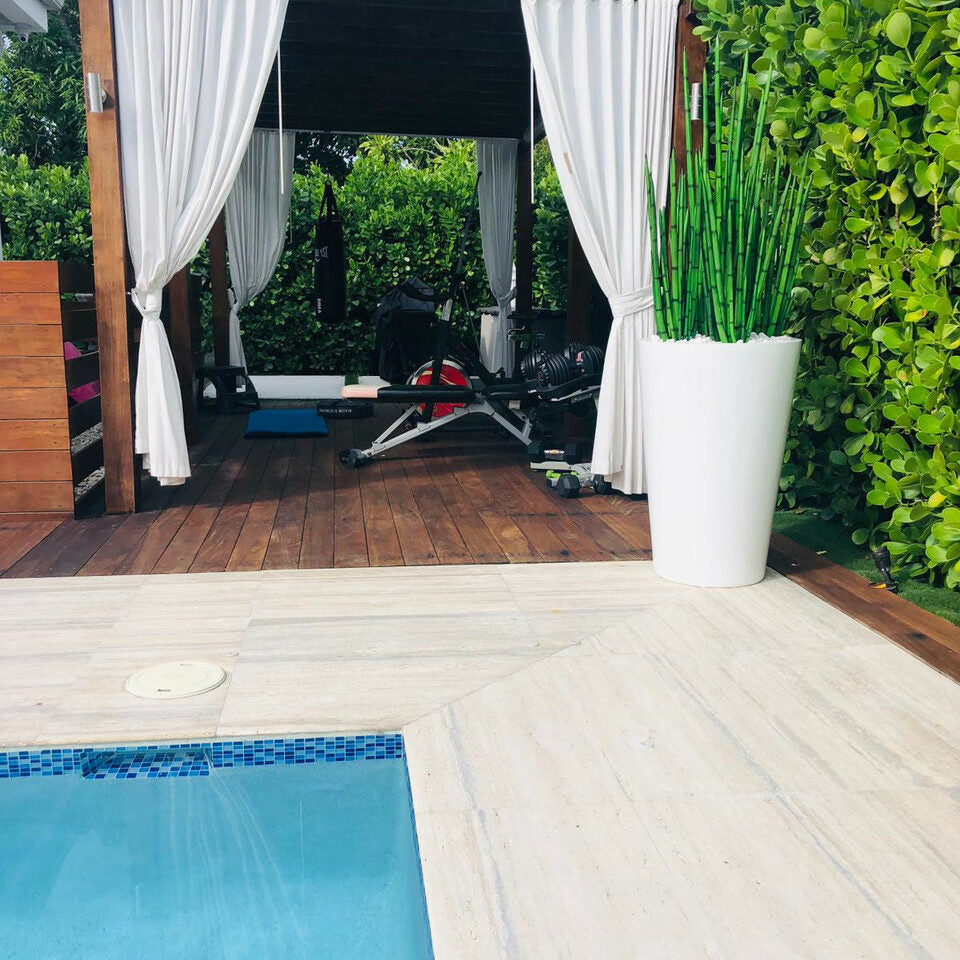 Snake grass (1.20 m) with Belle L