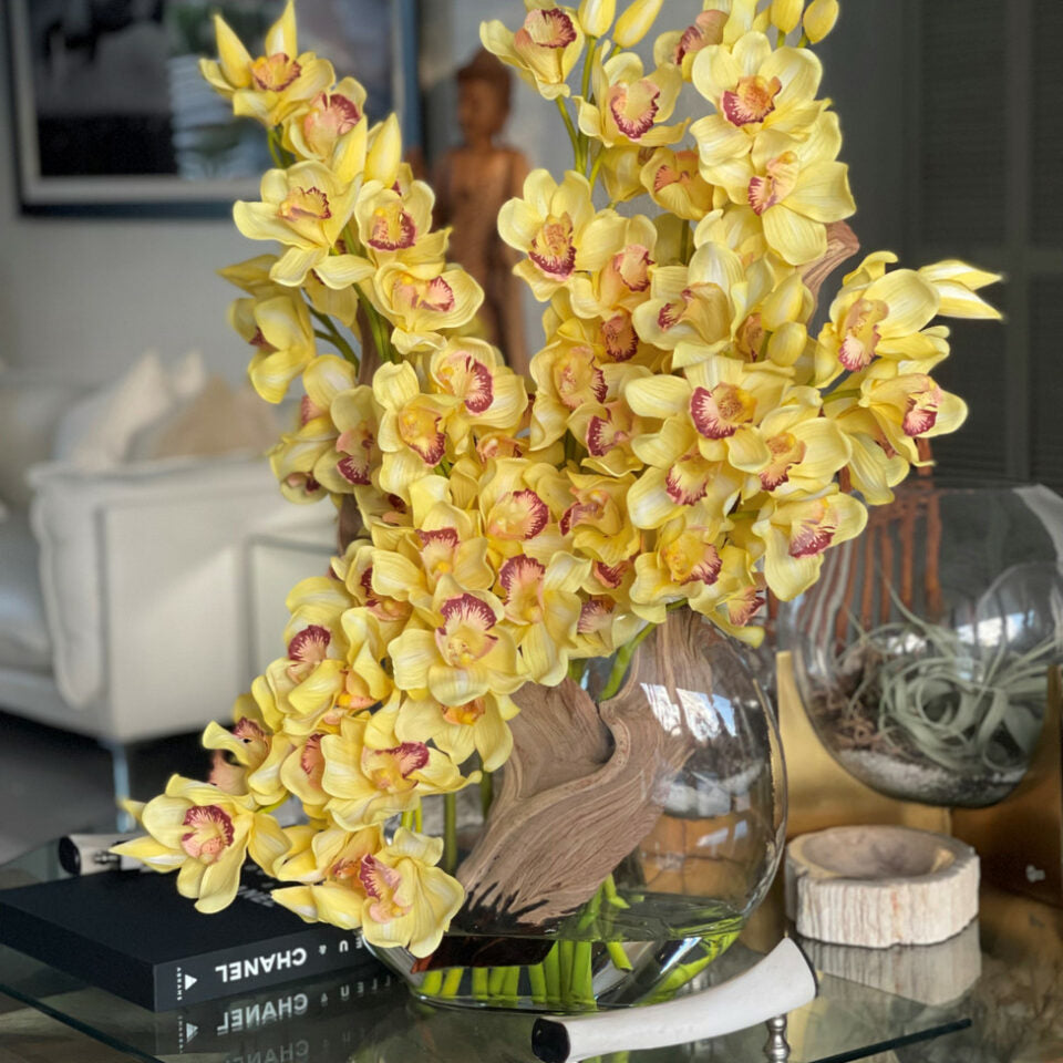 Yellow cymbidiums in a moon vase