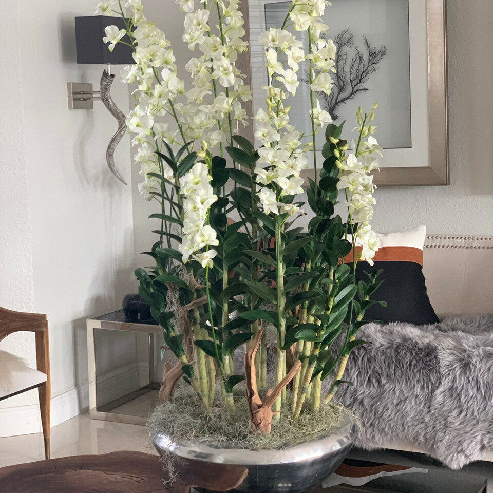 Avenue planter with Dendrobium orchids