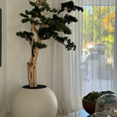 Bonsai tree standing on a 30-inch satin beige ball