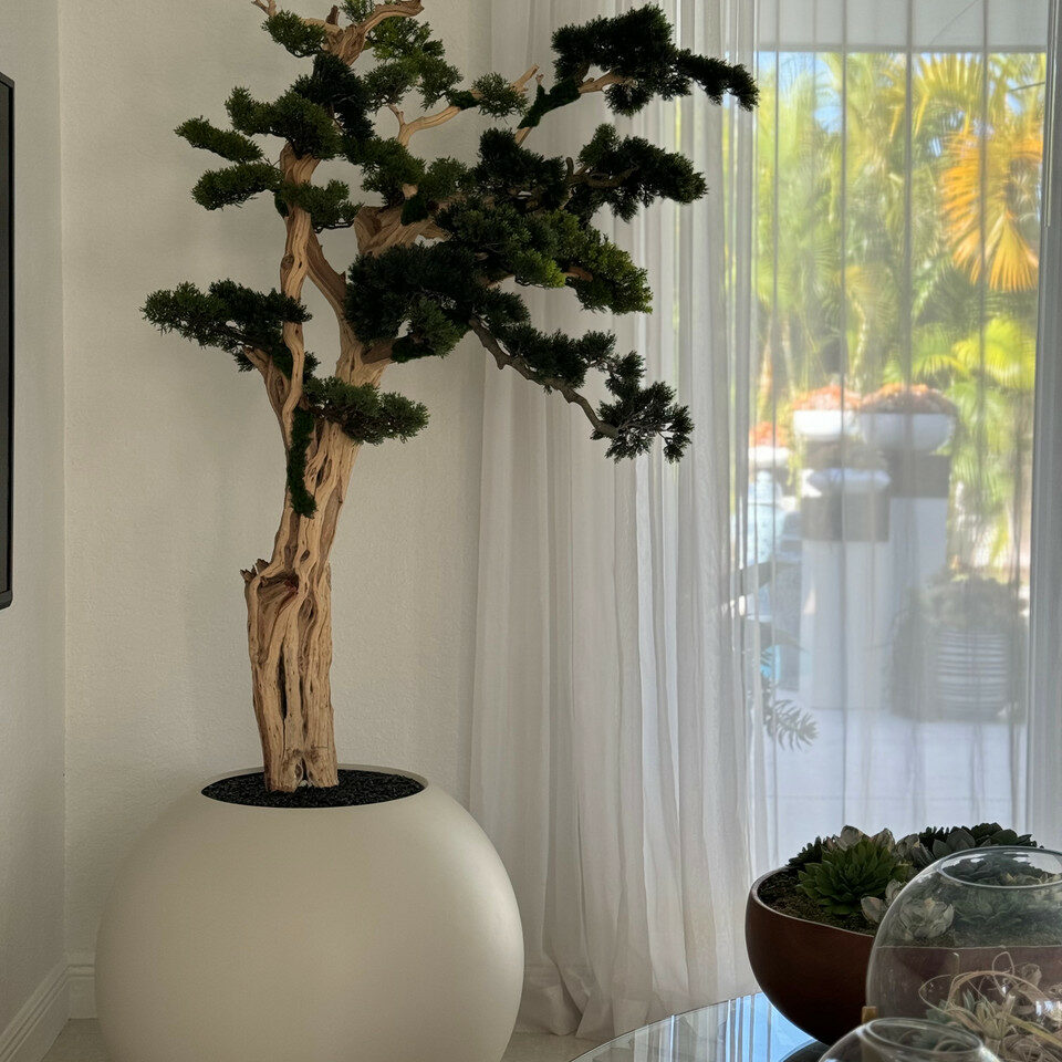 Bonsai tree standing on a 30-inch satin beige ball