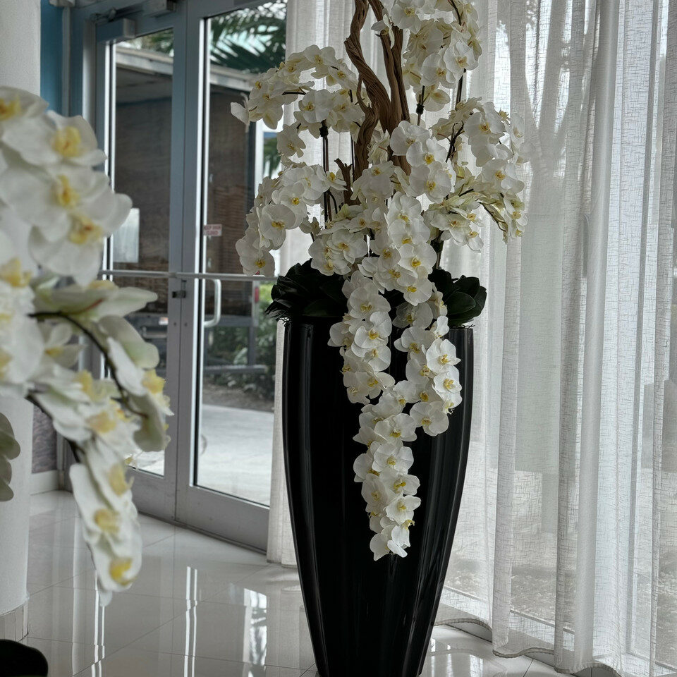 Glossy black San José vase with white orchid cascade