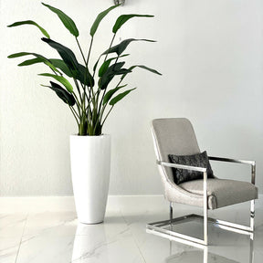7ft Bird of Paradise with Dax L pot