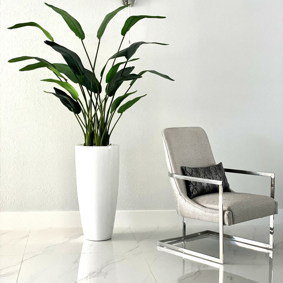 7ft Bird of Paradise with Dax L pot