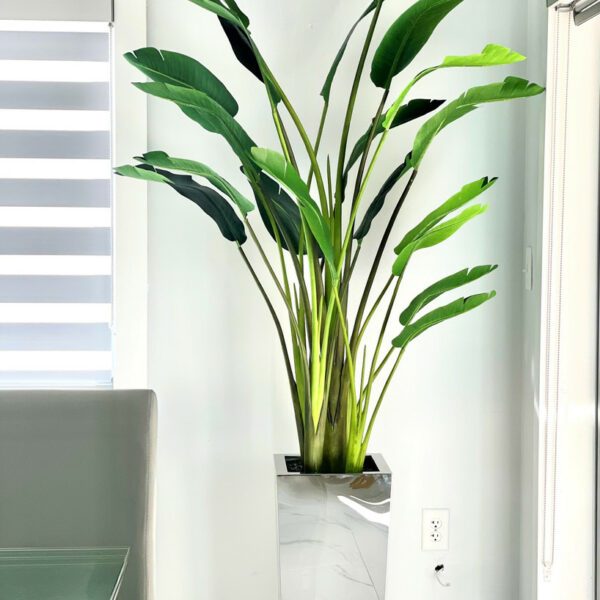 Bird of Paradise Vase made of stainless steel, medium, cube shape (7′)