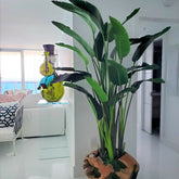 Large teak ship with large bird of paradise