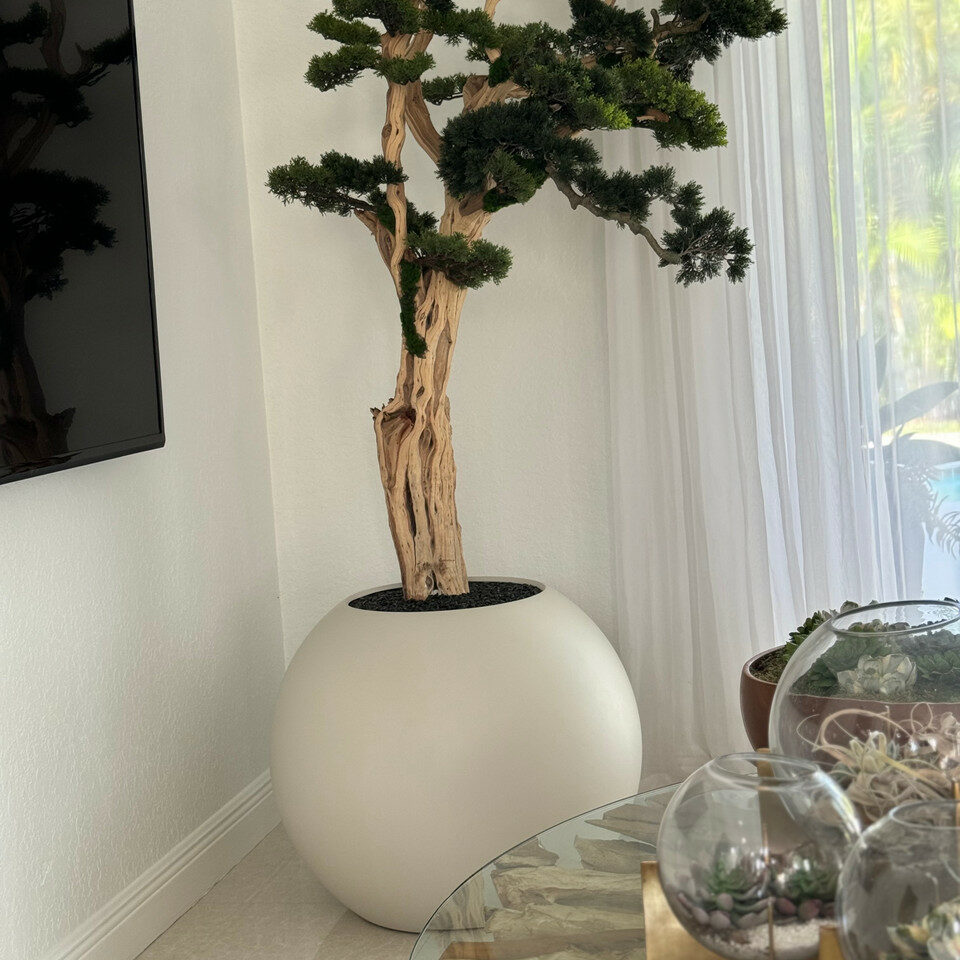 Bonsai tree standing on a 30-inch satin beige ball