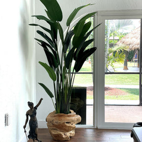 Large teak ship with large bird of paradise