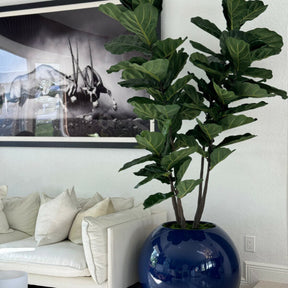 Blue cup vase with fiddle leaf fig tree