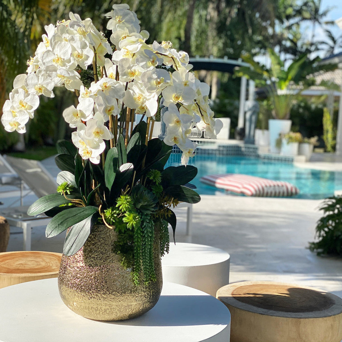 Delaney gold vase with multiple stems of Phalaenopsis orchids and succulents