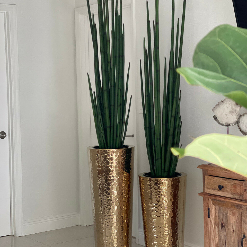 Conical vase made of golden stainless steel with large snake grass plant