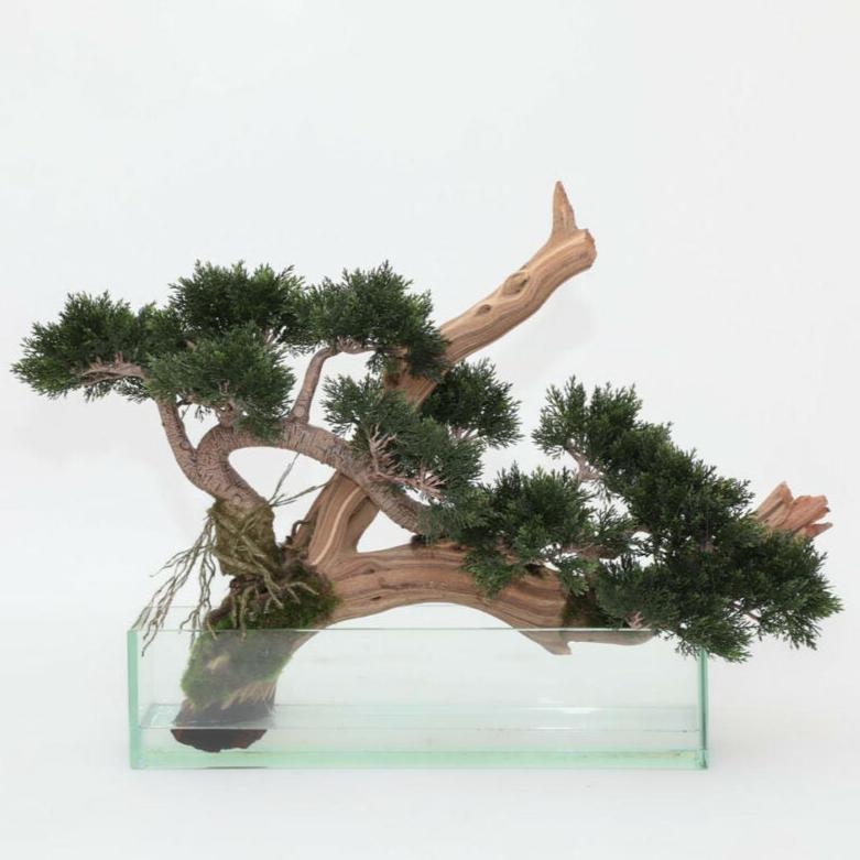 Artificial climbing cedar bonsai in a glass pot