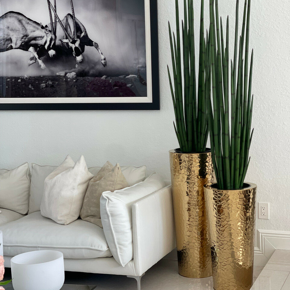 Conical vase made of golden stainless steel with large snake grass plant
