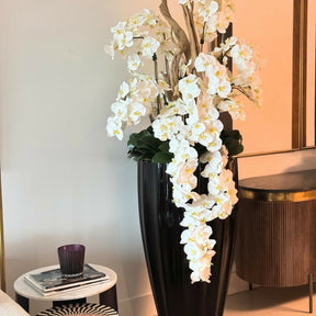 Glossy black San José vase with white orchid cascade