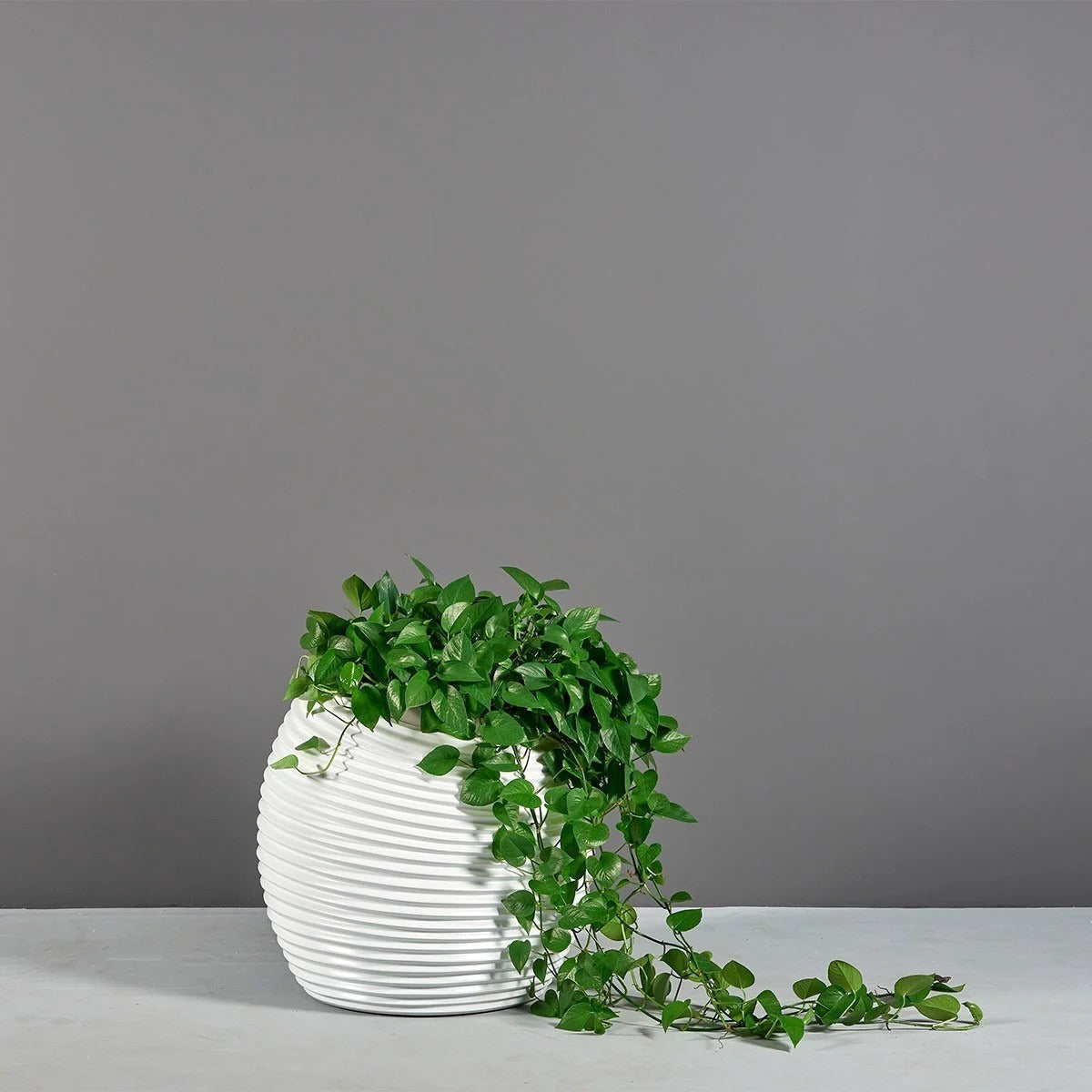 Modern Spiral Ball Vase