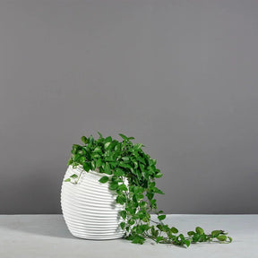 Modern Spiral Ball Vase