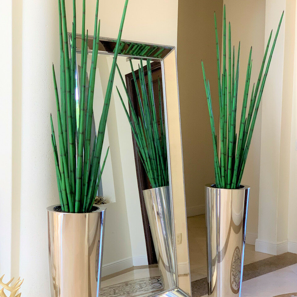 Large conical vase made of polished stainless steel with a large snake grass plant