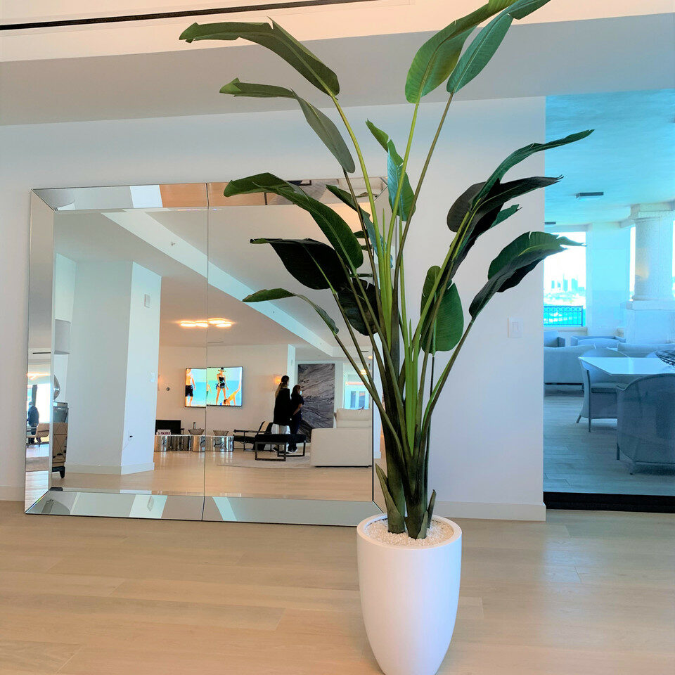 2.7 m Bird of Paradise with Ben pot in glossy white