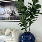 30 inch blue ball vase with fiddle leaf