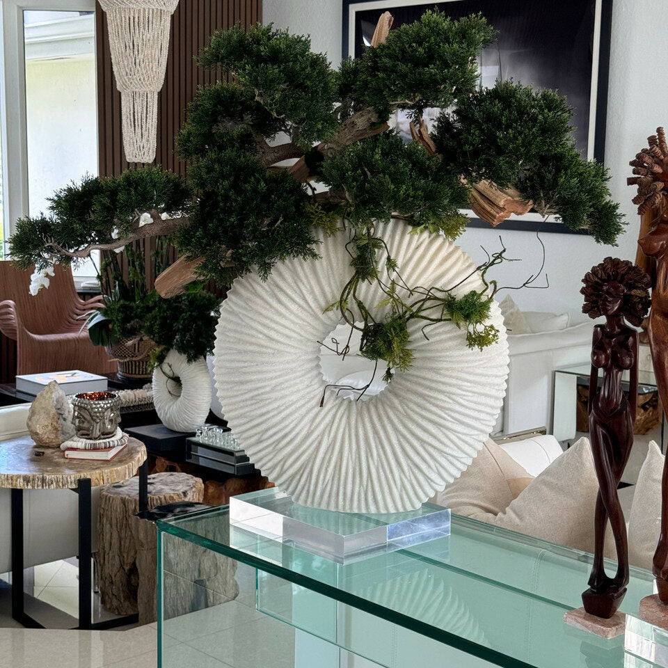 Large eternity vase with hanging bonsai and driftwood