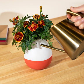 Floravie vase