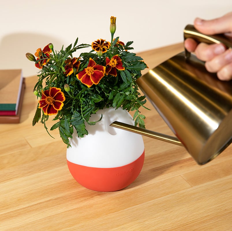 Floravie vase
