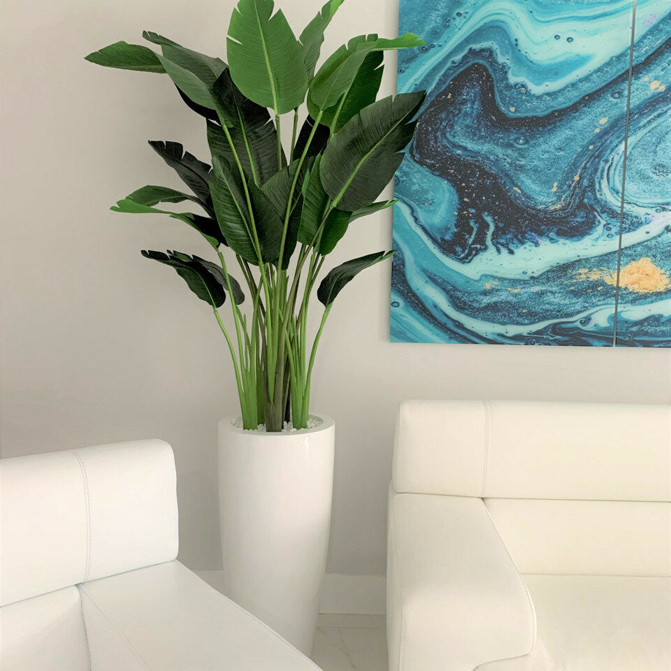 7ft Bird of Paradise with Dax L pot