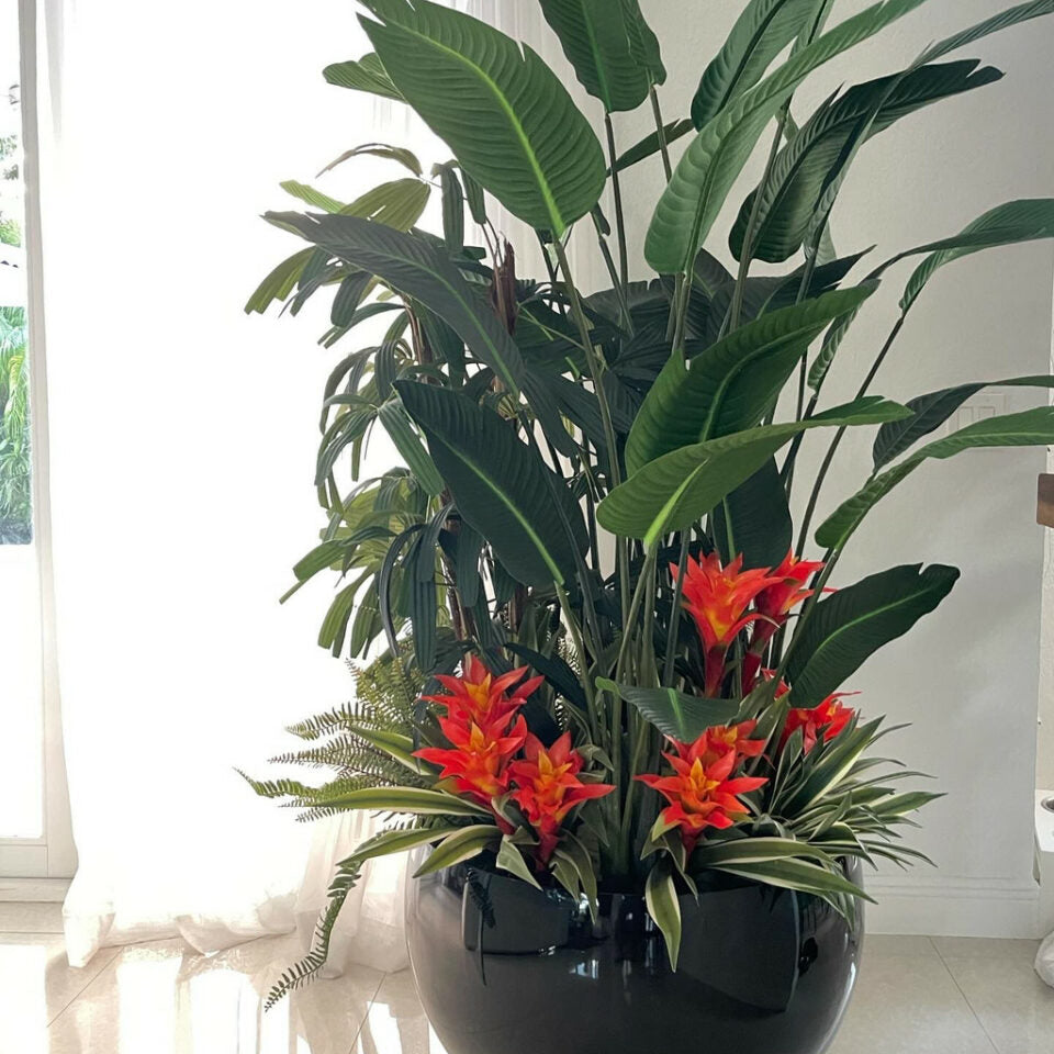 Tropical plant mix of black Terragona