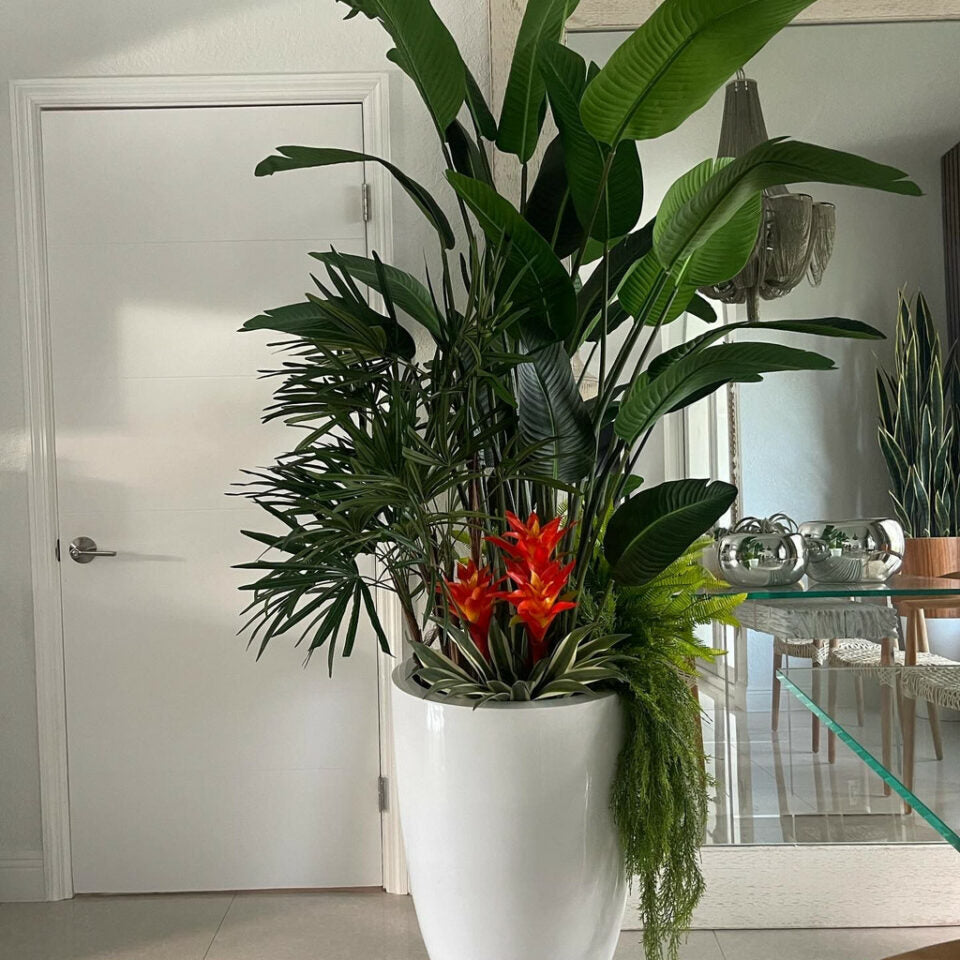 Brilliant White Brannan Tropical Plant Mix