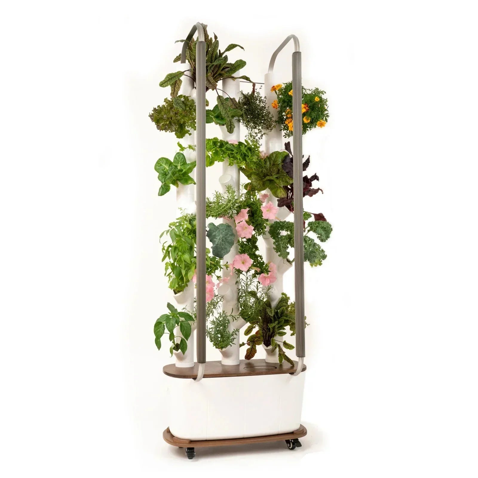 Floravie Dolly