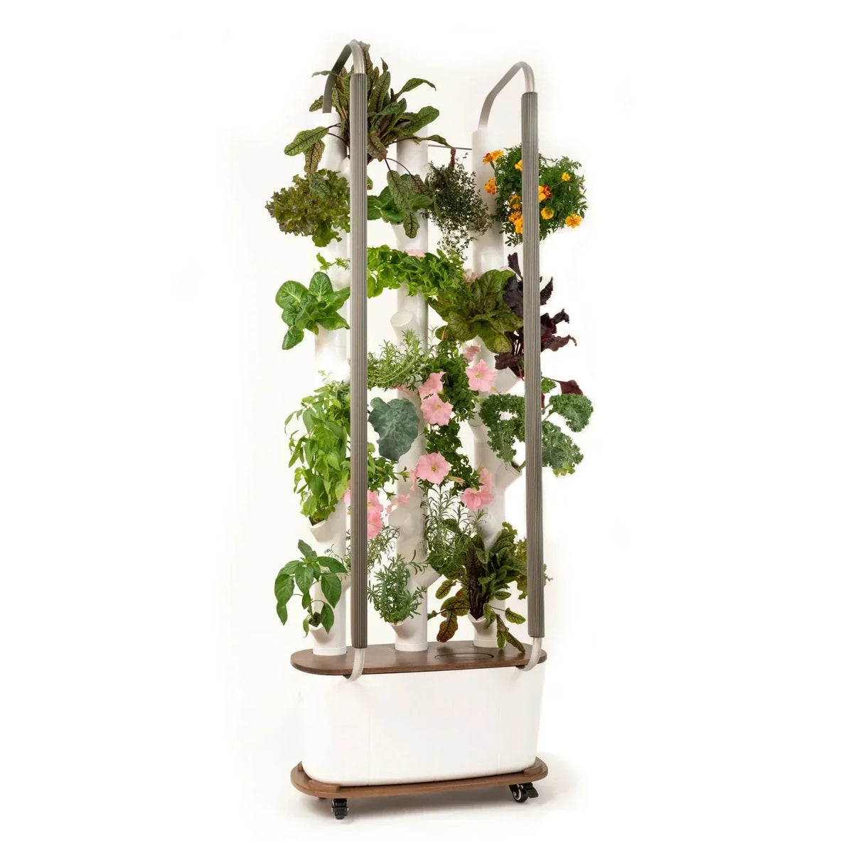 Floravie Dolly