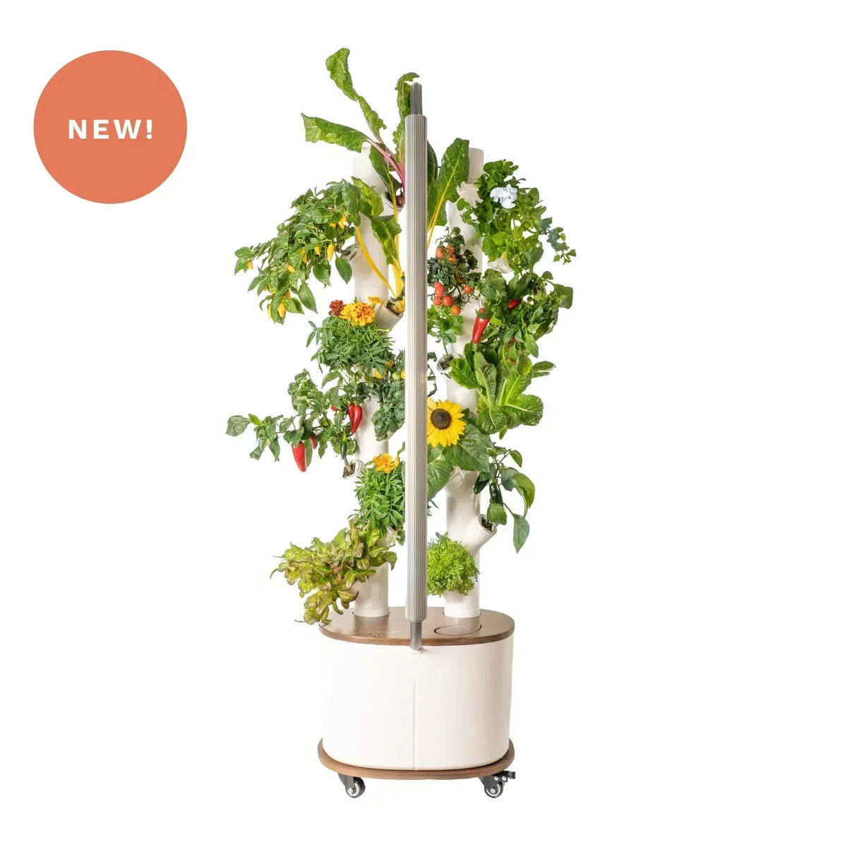 Floravie Dolly