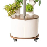 Floravie Dolly