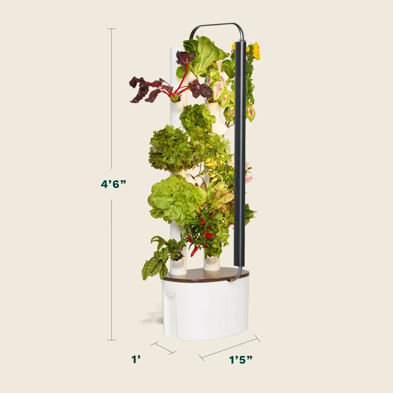 Floravie Studio + free 16-Plant Starter Set