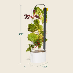 Floravie Studio + free 16-Plant Starter Set